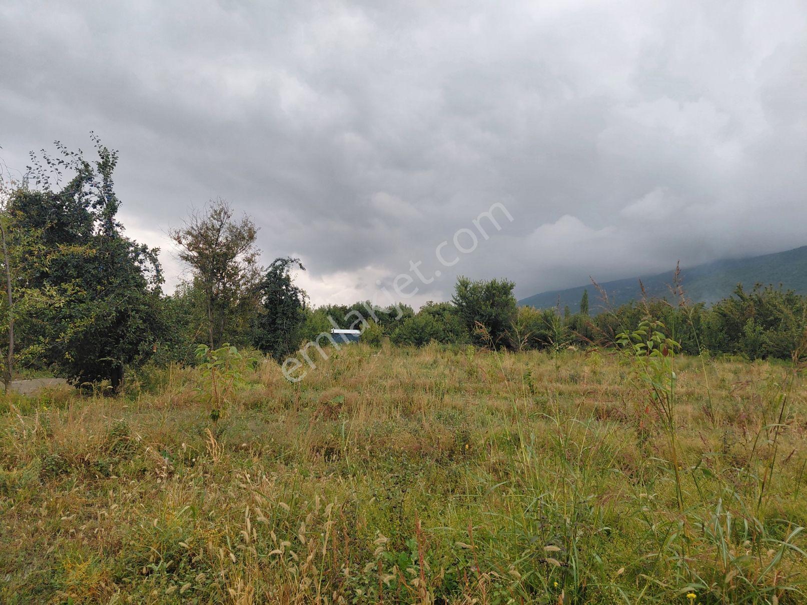 Akşehir Atakent Mahallesi'nde Satılık 2500 M² Bahçe — fotoğraf 11