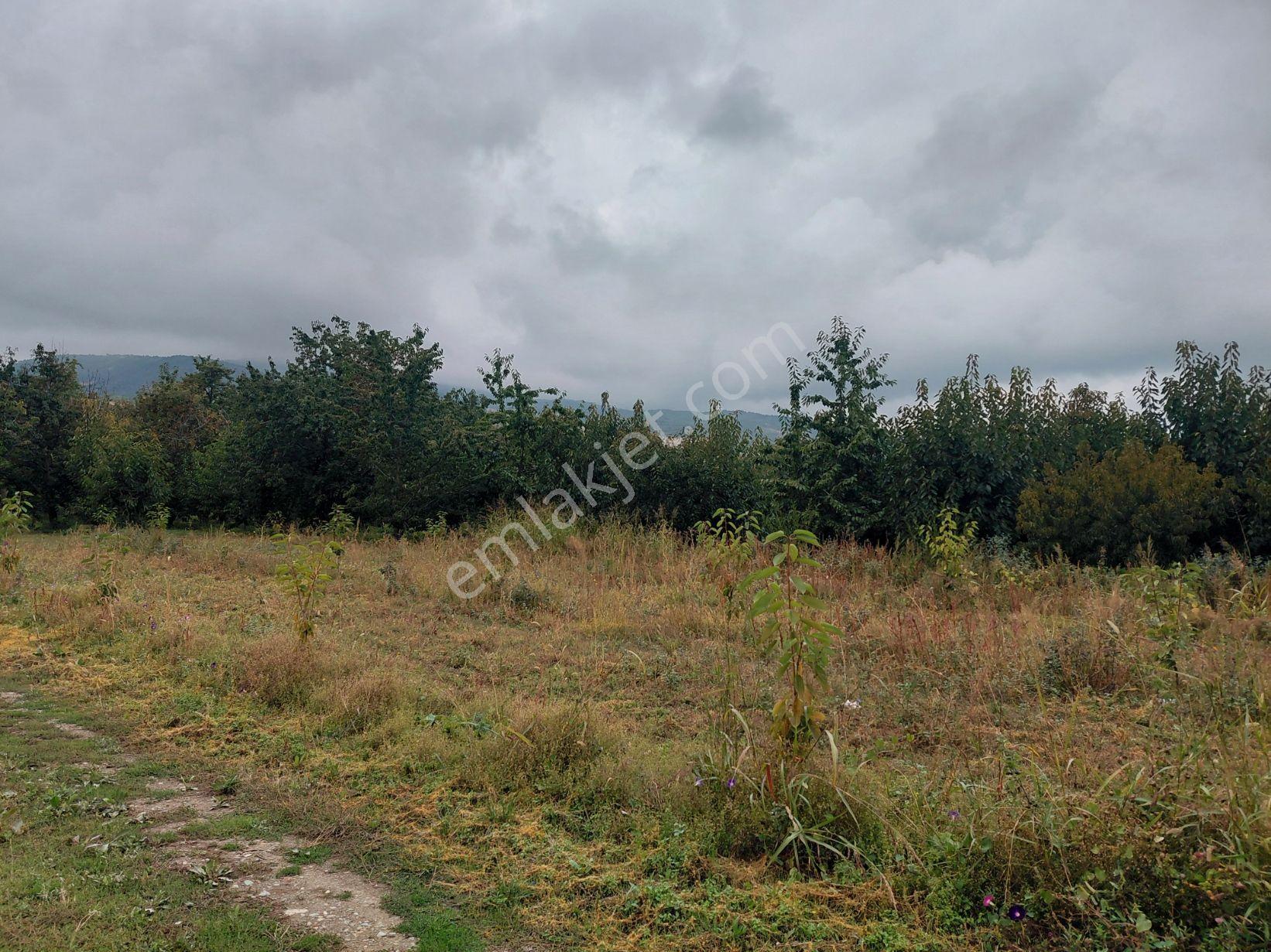 Akşehir Atakent Mahallesi'nde Satılık 2500 M² Bahçe — fotoğraf 15