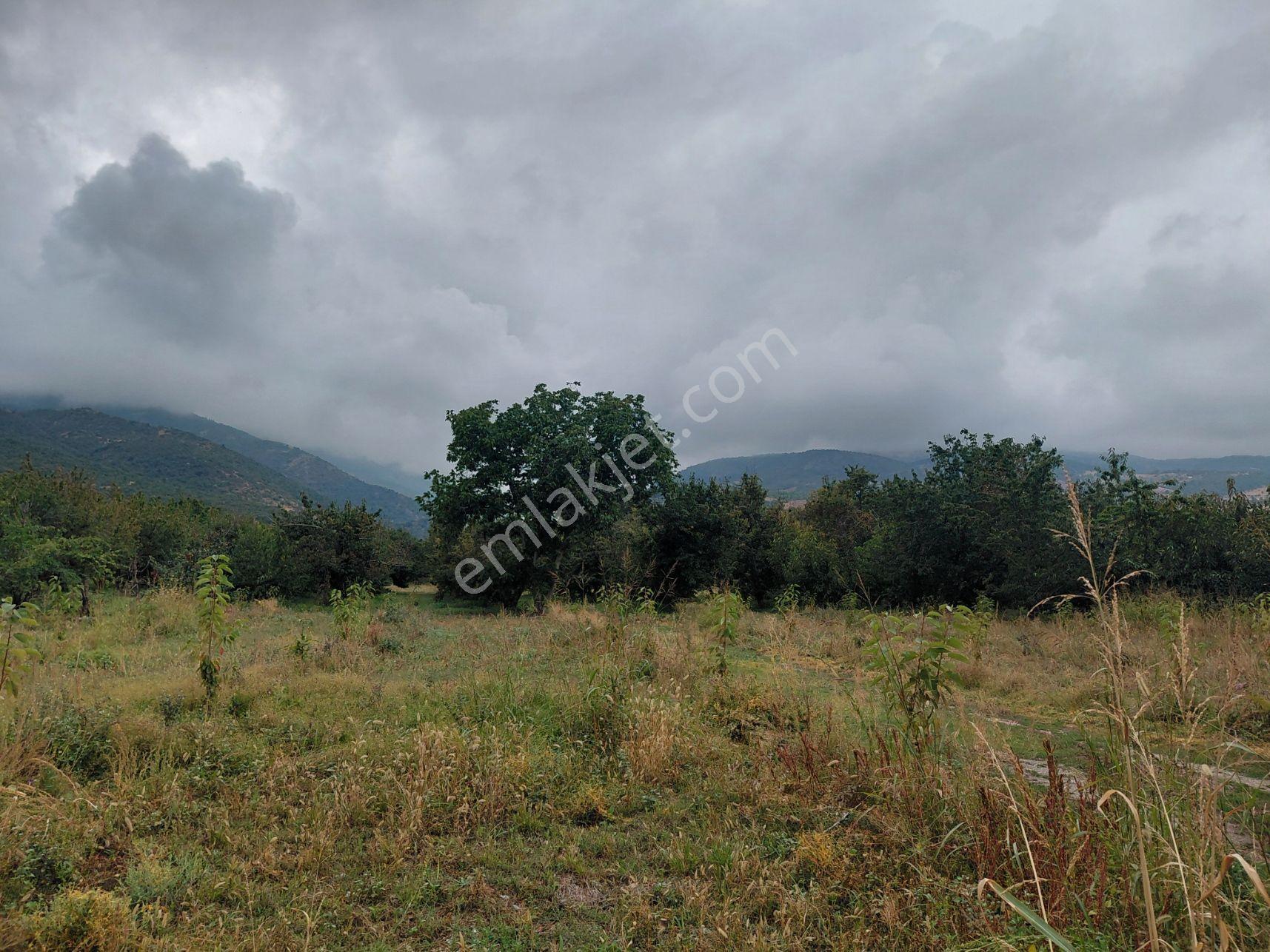 Akşehir Atakent Mahallesi'nde Satılık 2500 M² Bahçe — fotoğraf 18