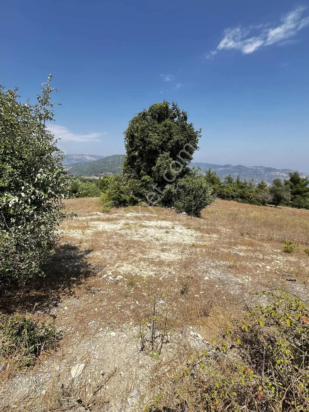 Mezitli Kuzucubelen 2.143 M2 Asfalt Yol Cepheli Deniz Manzaralı — fotoğraf 5