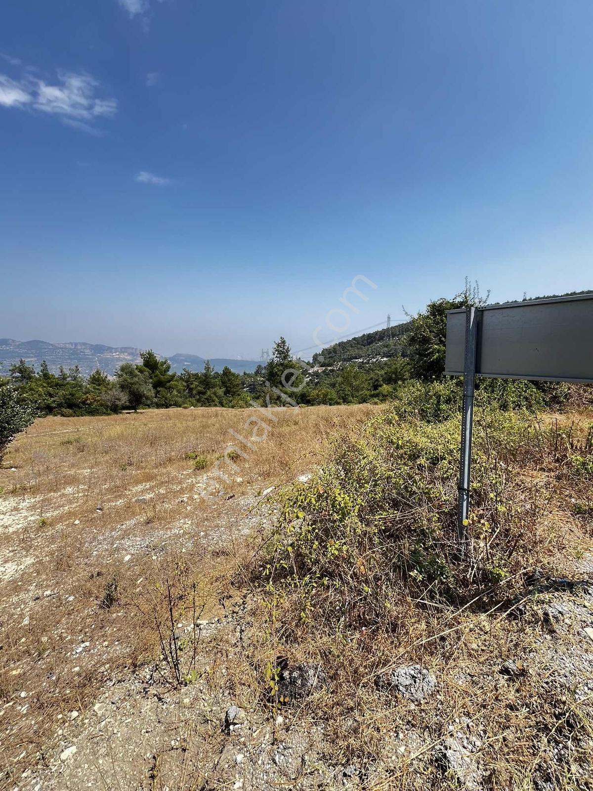 Mezitli Kuzucubelen 2.143 M2 Asfalt Yol Cepheli Deniz Manzaralı — fotoğraf 6