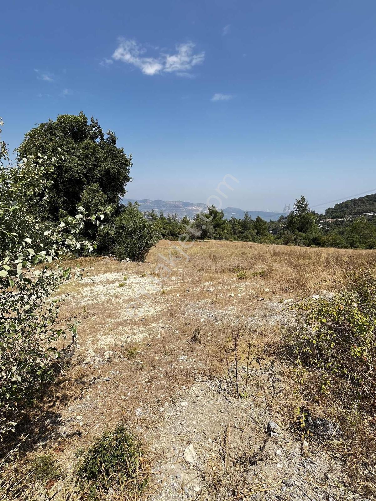 Mezitli Kuzucubelen 2.143 M2 Asfalt Yol Cepheli Deniz Manzaralı — fotoğraf 7