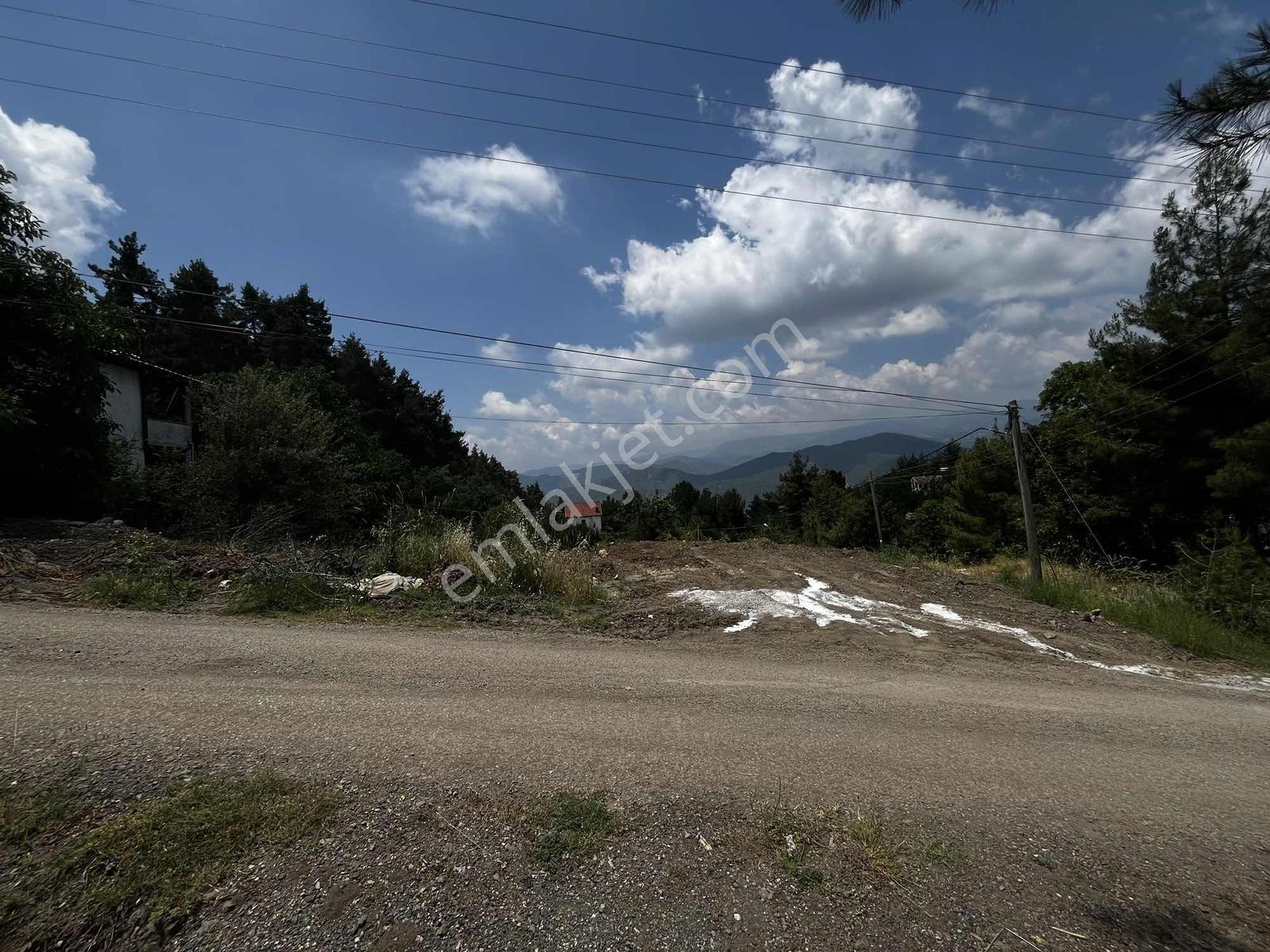 Toroslar Yeniköy Yaylasının En Güzel Lokasyonunda Arsa 1.466 M2 — fotoğraf 7