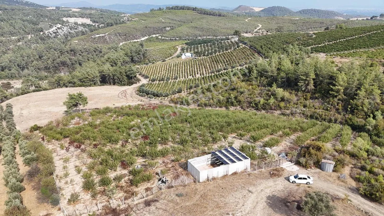 Toroslar Doruklu Da 11.500 M2 Bakımlı Sulak Kayısı Bahçe
