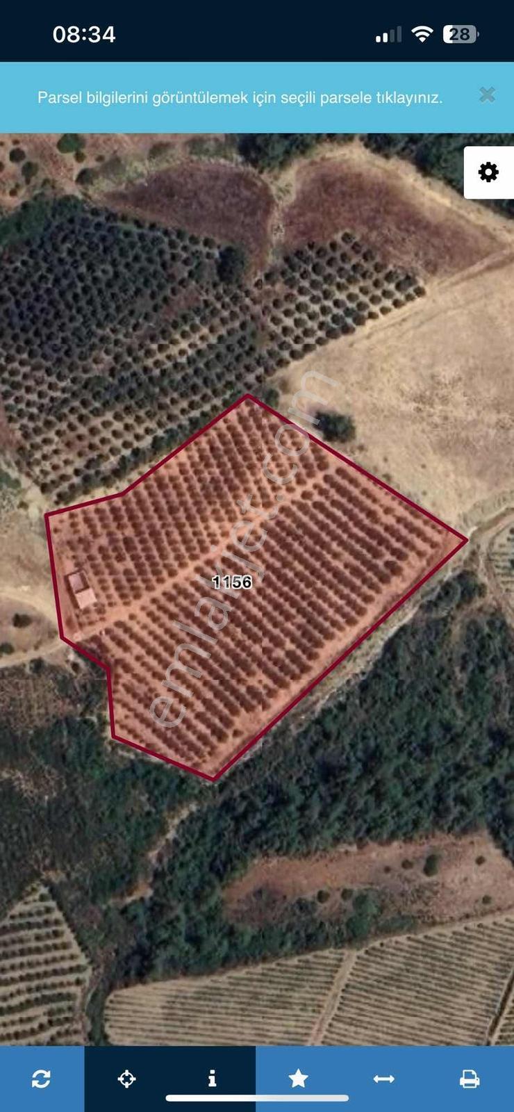 Toroslar Doruklu Da 11.500 M2 Bakımlı Sulak Kayısı Bahçe — fotoğraf 4