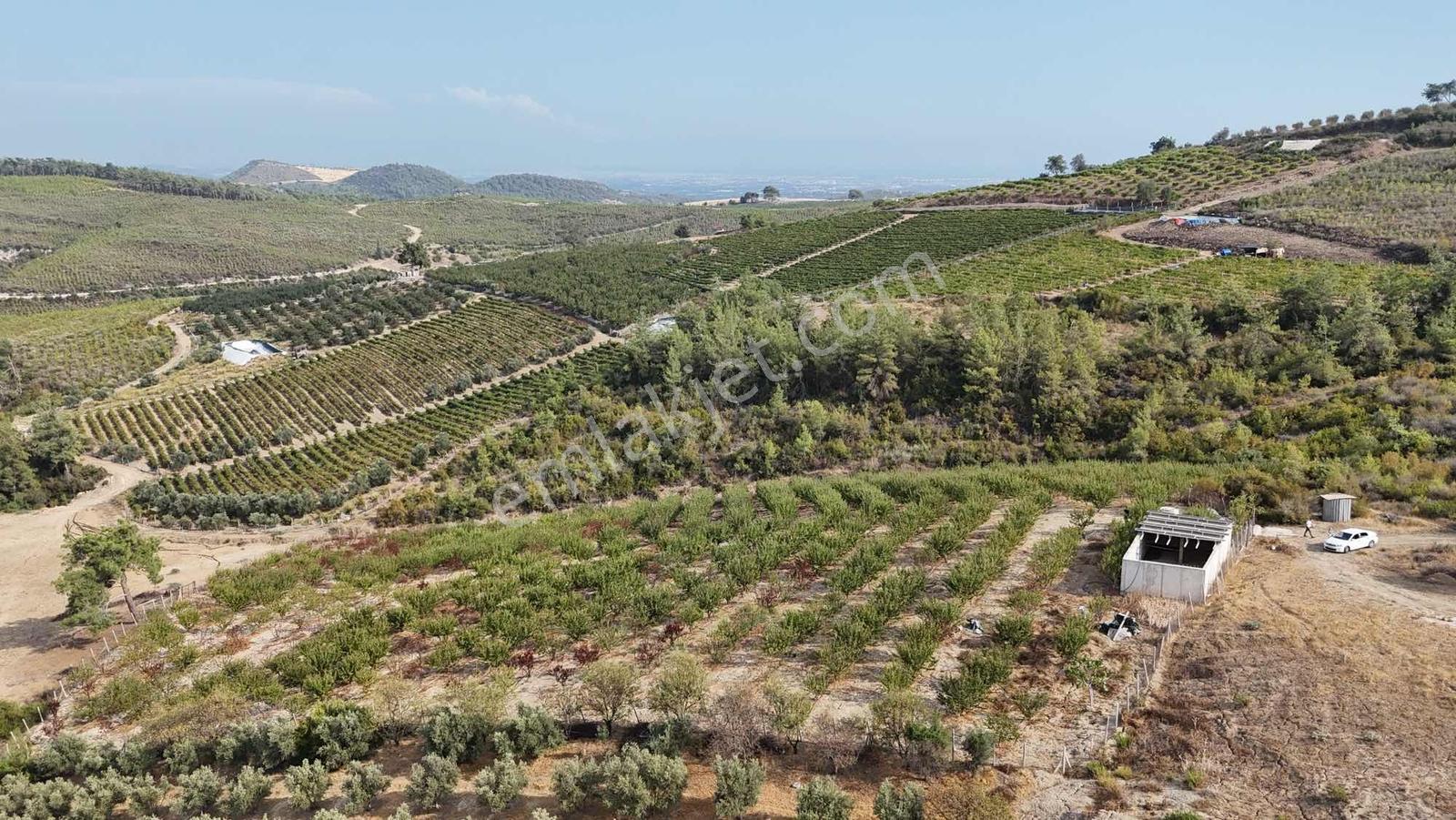 Toroslar Doruklu Da 11.500 M2 Bakımlı Sulak Kayısı Bahçe — fotoğraf 8