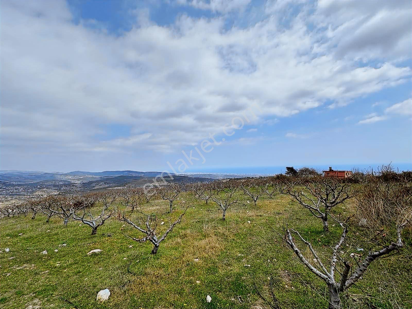 Erdemli Sıraçta Seçkin Konumda, Deniz Manzaralı Prestijli Arsa — fotoğraf 3