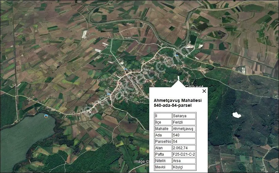 Ferizli Gölkent Te 2000 M2 %35 İmarlı Arsa ( Fındık Bahçesi )
