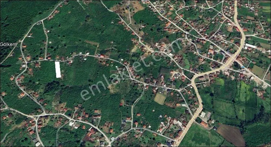 Ferizli Gölkent Te 2000 M2 %35 İmarlı Arsa ( Fındık Bahçesi ) — fotoğraf 2