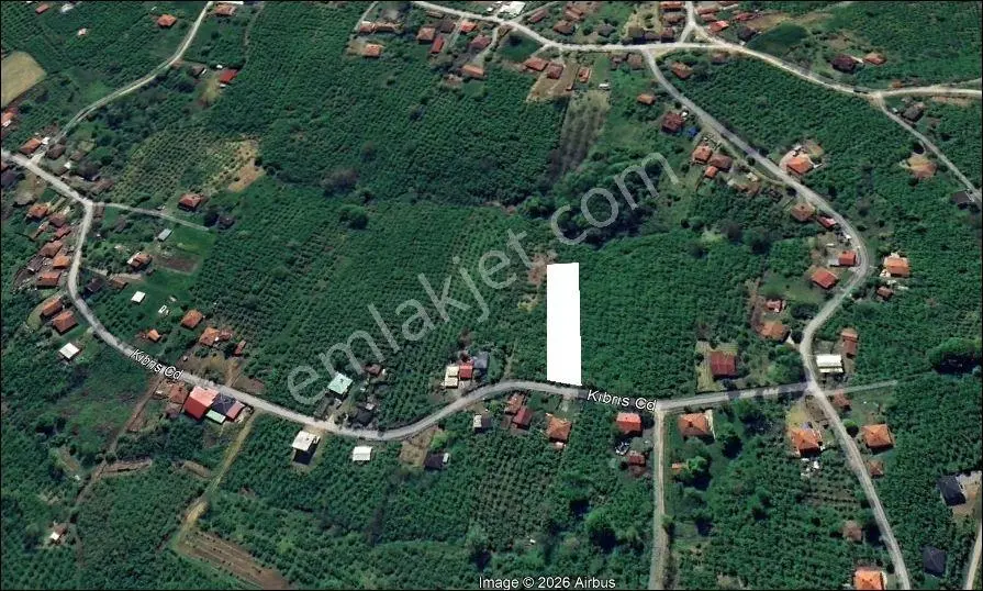 Ferizli Gölkent Te 2000 M2 %35 İmarlı Arsa ( Fındık Bahçesi ) — fotoğraf 3