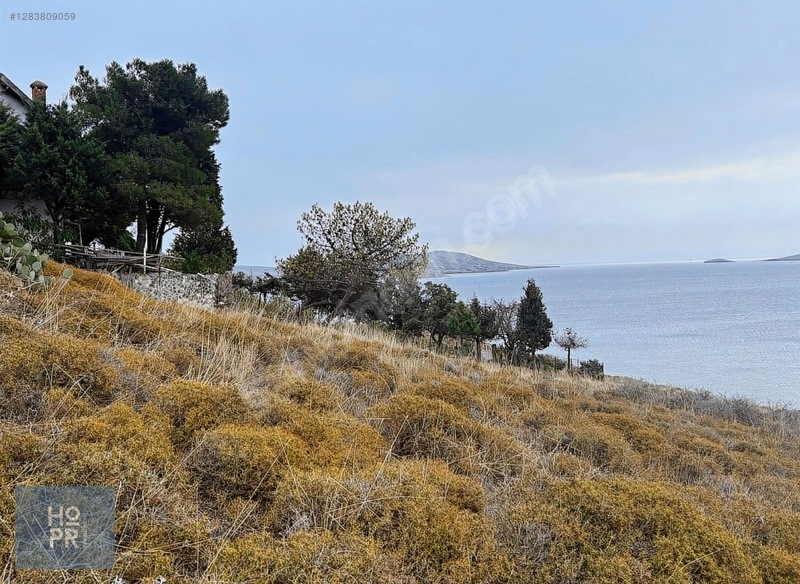 Koyun Adası'nda Denize Sadece 200 Metre Mesafede! 466 M² Arsa — fotoğraf 4