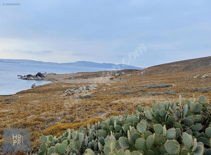 Koyun Adası'nda Denize Sadece 200 Metre Mesafede! 466 M² Arsa — fotoğraf 8
