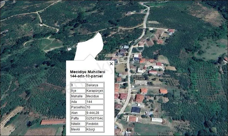 Karapürcek Mecidiyede 9500M2Fındık Bahcesi5 Dönüm Fındık Ekili