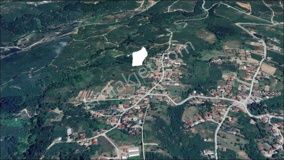 Karapürcek Mecidiyede 9500m2fındık Bahcesi5 Dönüm Fındık Ekili — fotoğraf 2