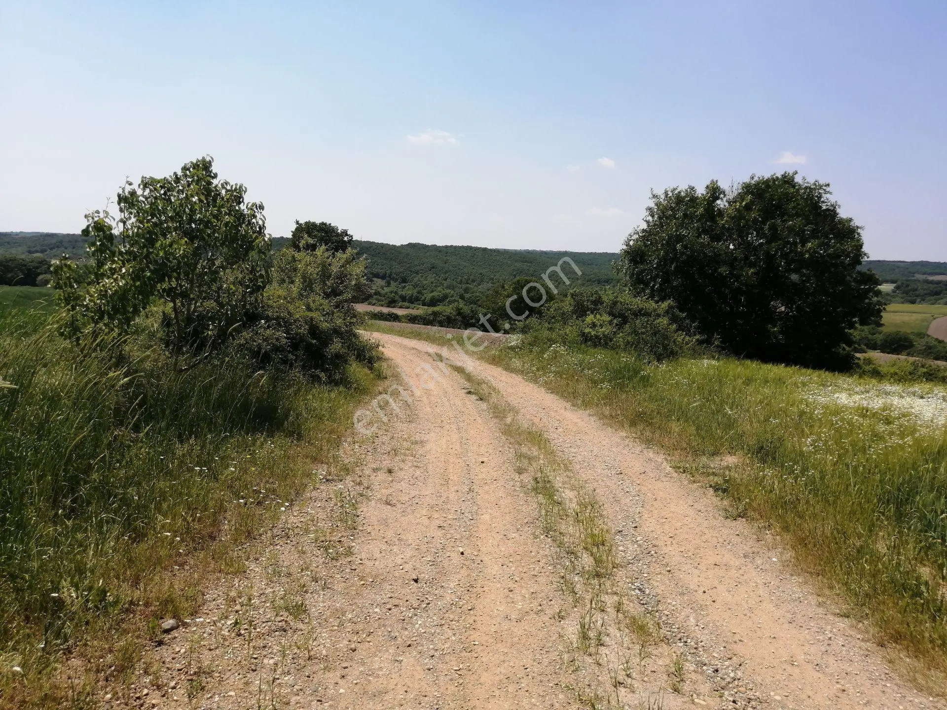 Ege Gayrimenkul'den Büyükçavuşlu'da 5000 M2 Tarla