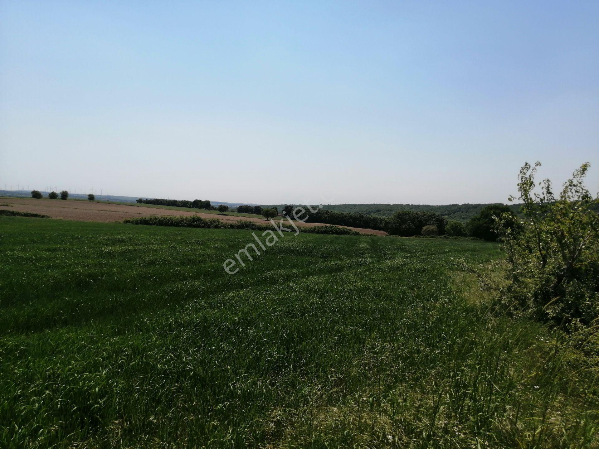 Ege Gayrimenkul'den Büyükçavuşlu'da 5000 M2 Tarla — fotoğraf 6