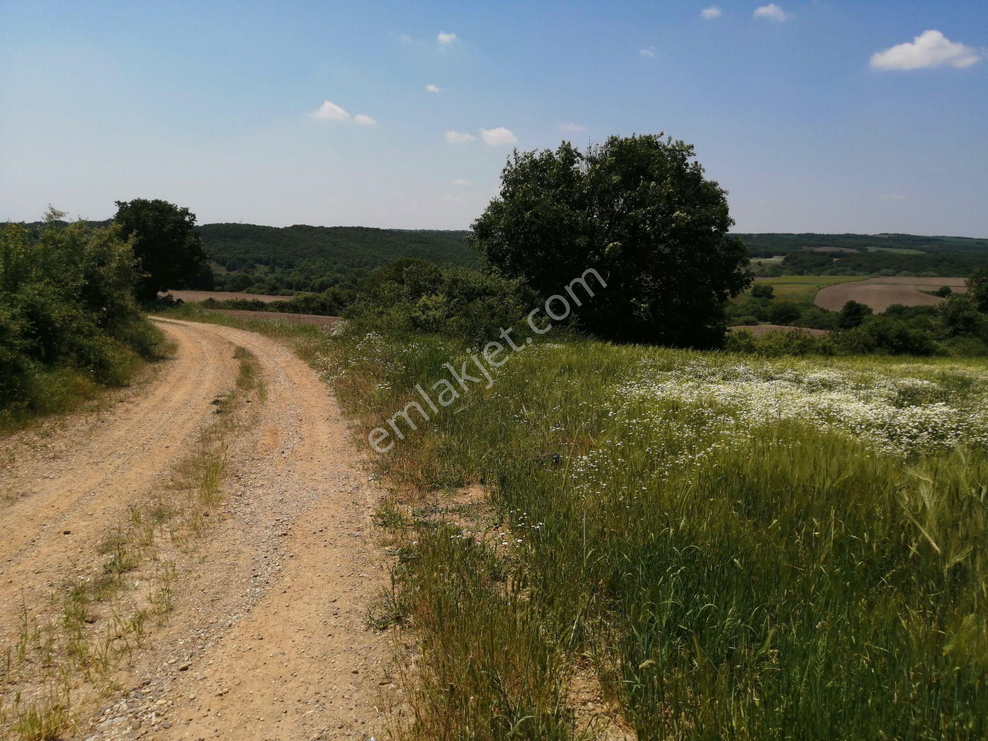 Ege Gayrimenkul'den Büyükçavuşlu'da 5000 M2 Tarla — fotoğraf 10