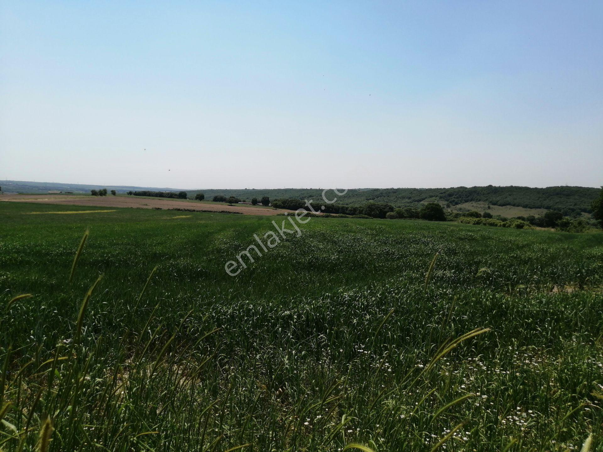 Ege Gayrimenkul'den Büyükçavuşlu'da 5000 M2 Tarla — fotoğraf 13