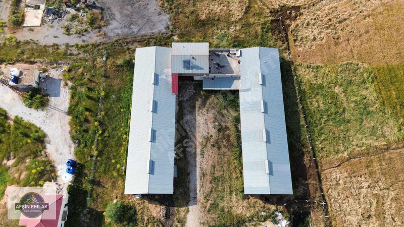 Afşin Emlak'tan Mükkemmel Konumda Satılık Besi Çiftliği — fotoğraf 4