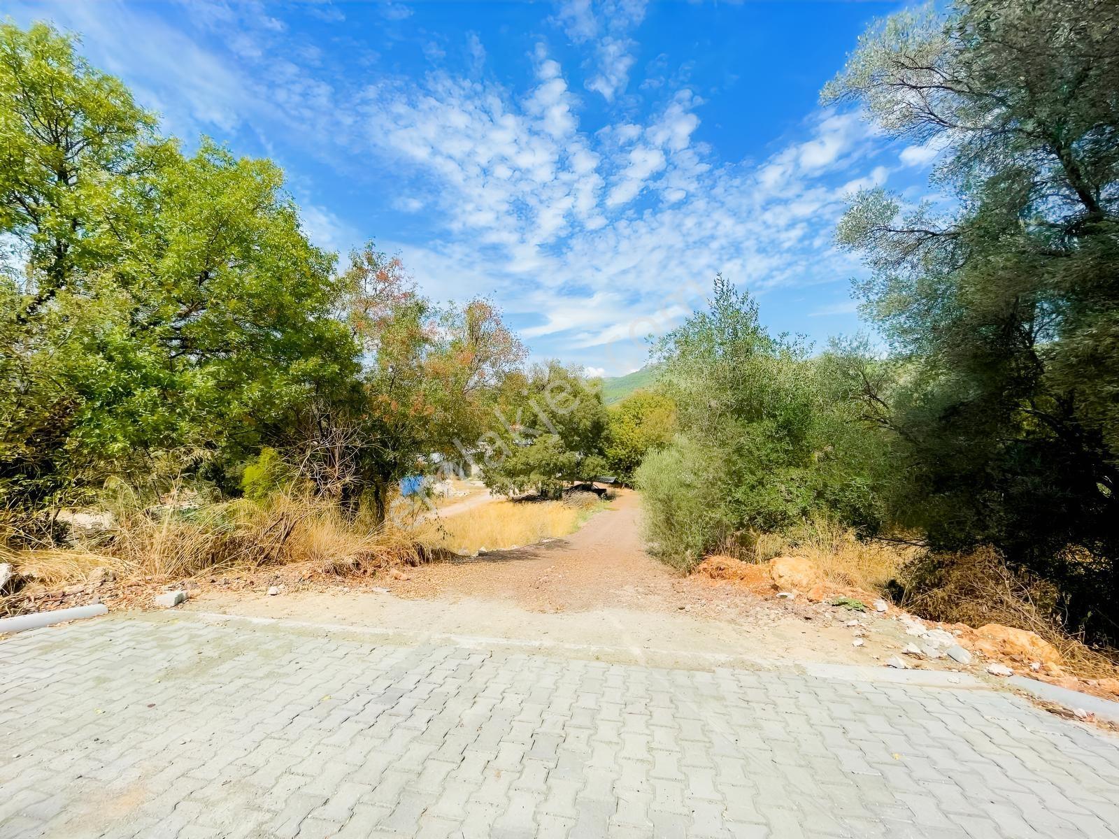 Fethiye Kayaköyün Değerlenen Bölgesinde 5.452 M² Satılık Bahçe — fotoğraf 14