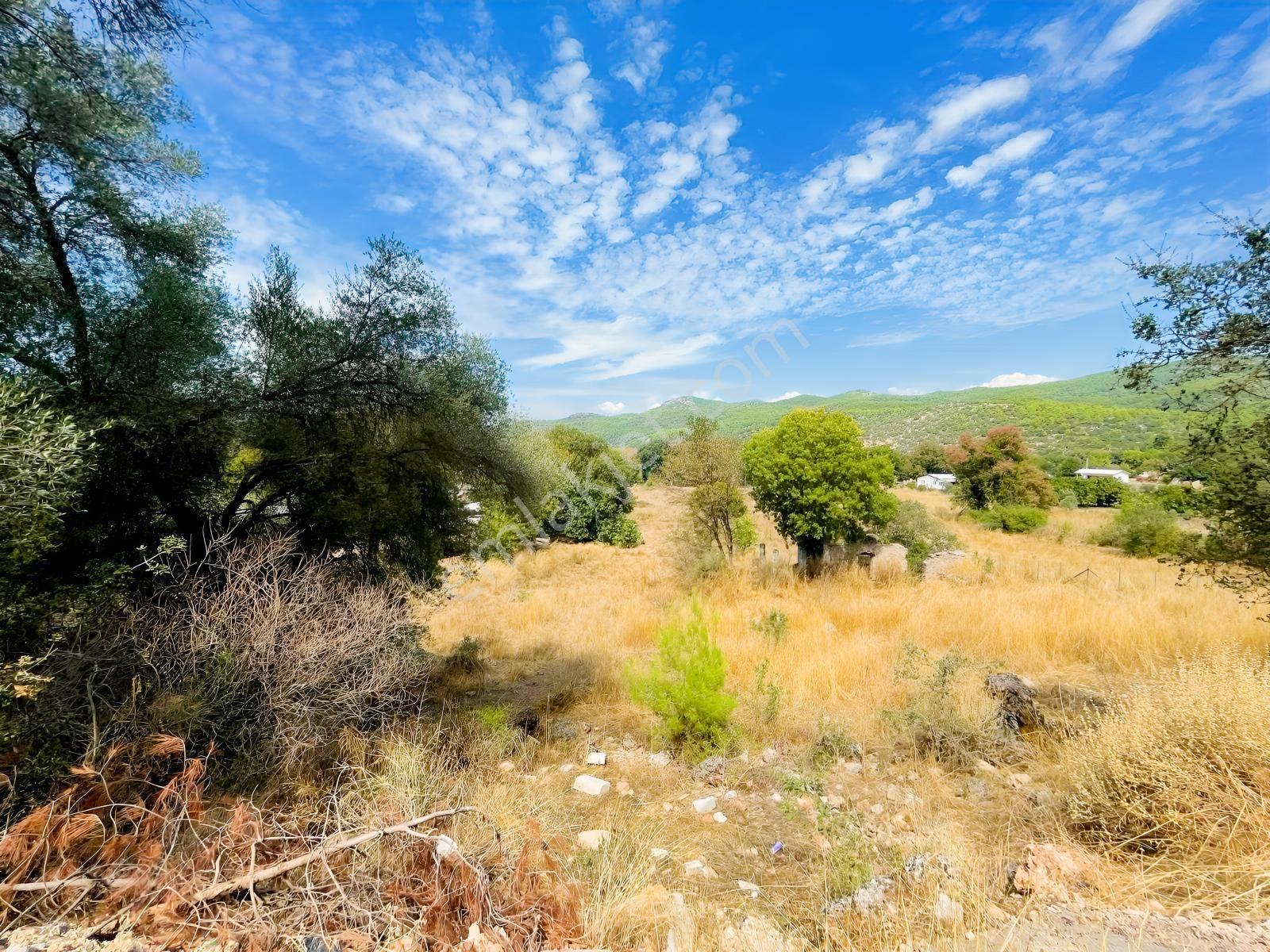 Fethiye Kayaköyün Değerlenen Bölgesinde 5.452 M² Satılık Bahçe — fotoğraf 15