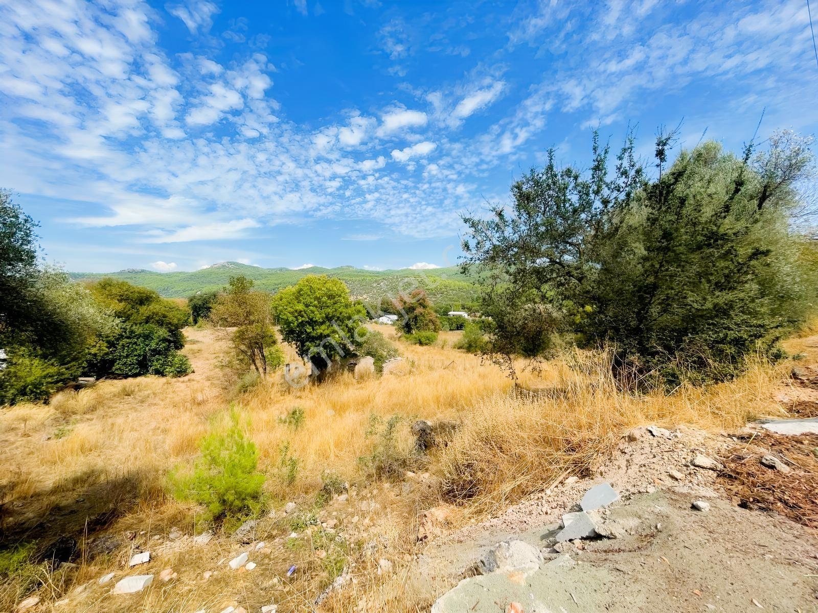 Fethiye Kayaköyün Değerlenen Bölgesinde 5.452 M² Satılık Bahçe — fotoğraf 16