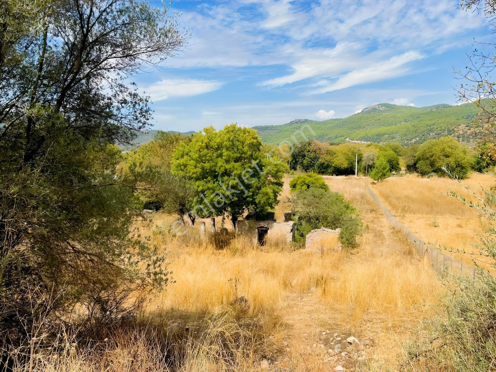 Fethiye Kayaköyün Değerlenen Bölgesinde 5.452 M² Satılık Bahçe — fotoğraf 17