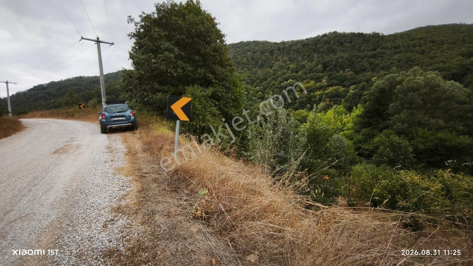 Gemlik Fındıcakta Asfalt Yola Ve Dereye Cephe 515 M² Bahçe — fotoğraf 5