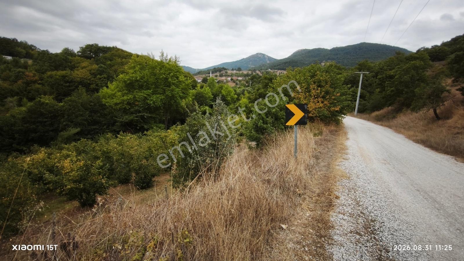 Gemlik Fındıcakta Asfalt Yola Ve Dereye Cephe 515 M² Bahçe — fotoğraf 11