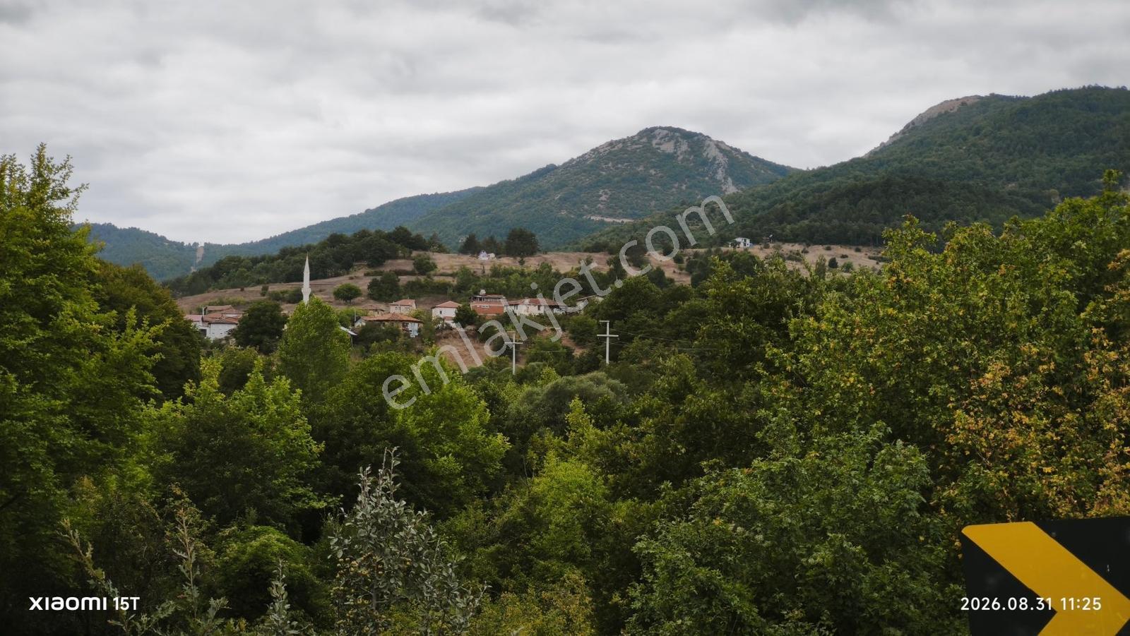 Gemlik Fındıcakta Asfalt Yola Ve Dereye Cephe 515 M² Bahçe — fotoğraf 12