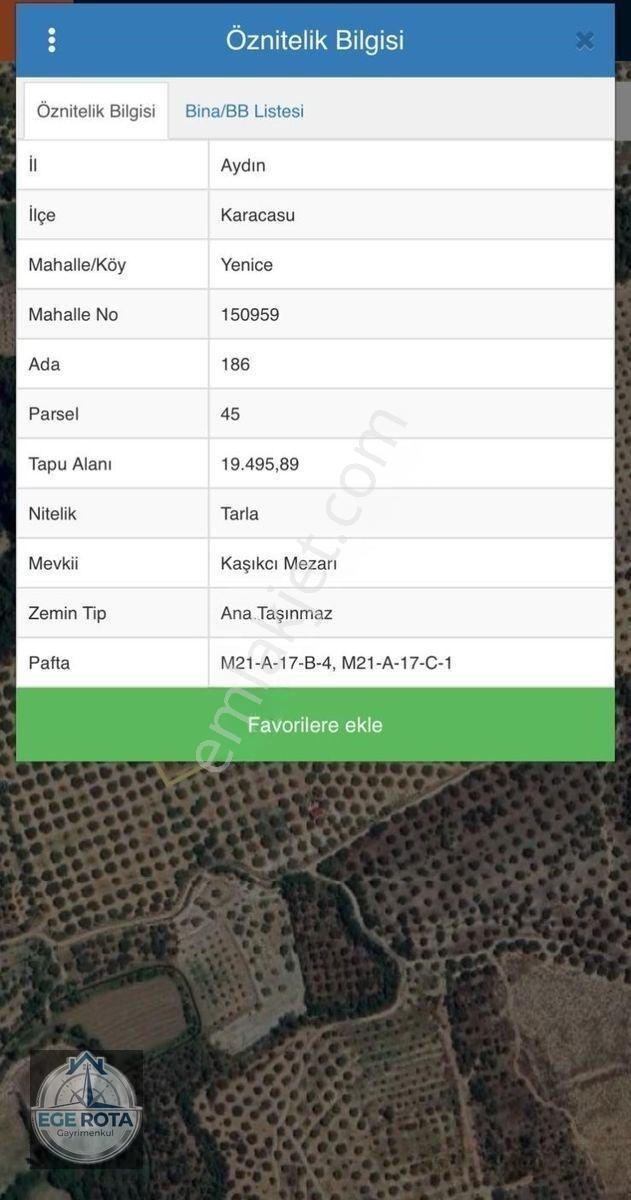 Karacasu - Yenice'de 19 Dönüm Satılık Zeytinlik — fotoğraf 2