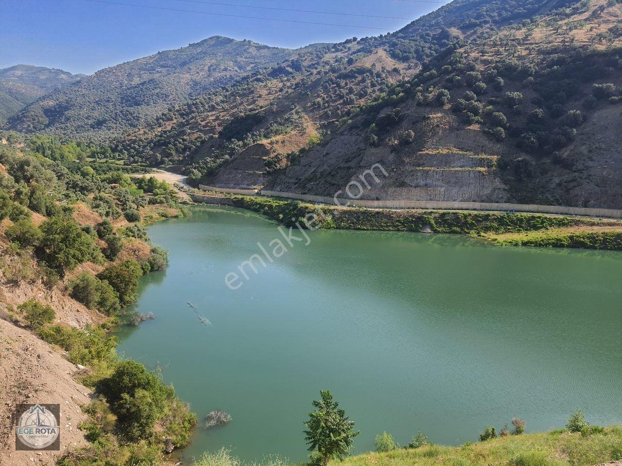 Sultanhisar - Demirhan Mahallesi Satılık 4 Dönüm Zeytinlik — fotoğraf 2