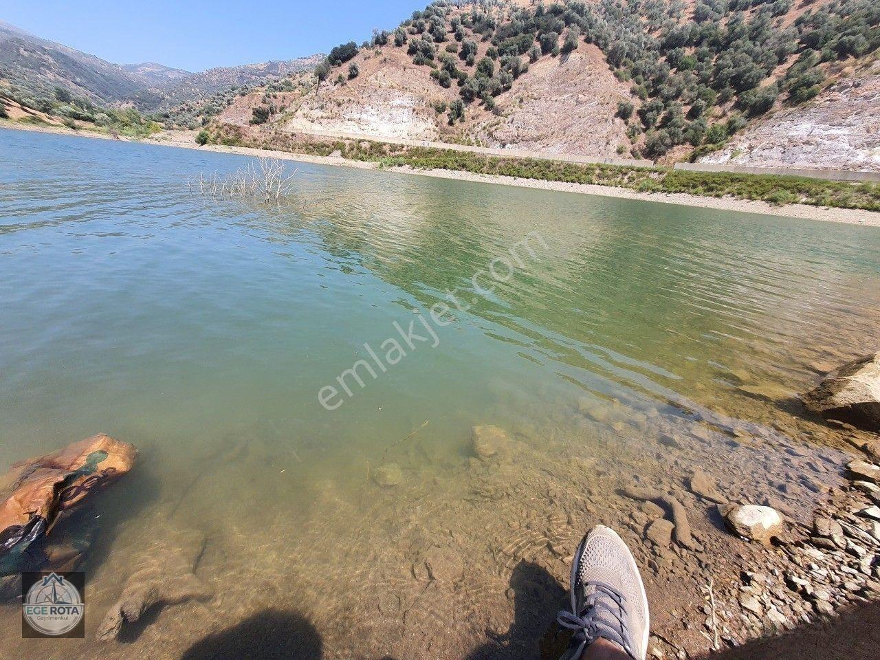 Sultanhisar - Demirhan Mahallesi Satılık 4 Dönüm Zeytinlik — fotoğraf 3