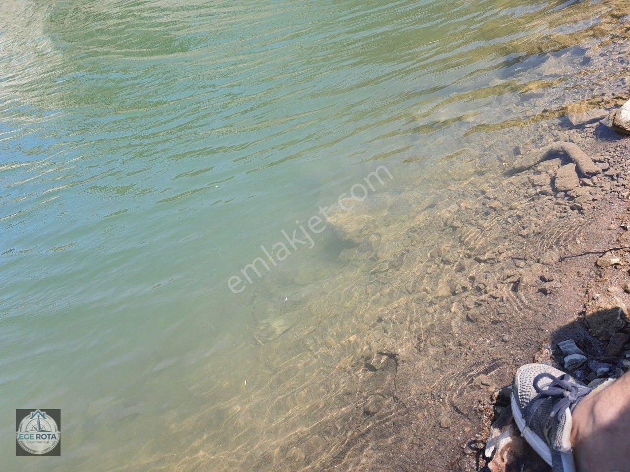 Sultanhisar - Demirhan Mahallesi Satılık 4 Dönüm Zeytinlik — fotoğraf 5
