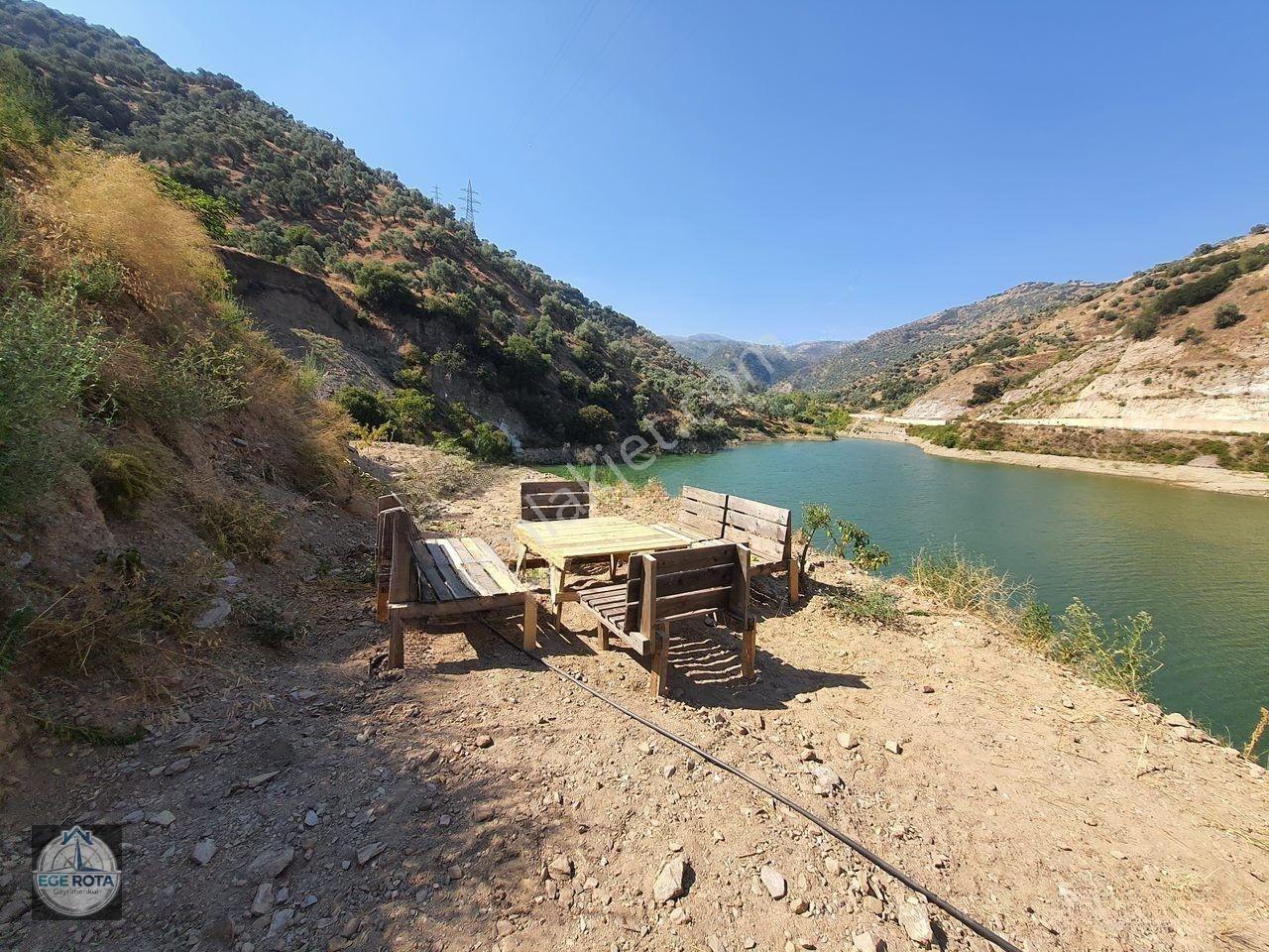 Sultanhisar - Demirhan Mahallesi Satılık 4 Dönüm Zeytinlik — fotoğraf 6