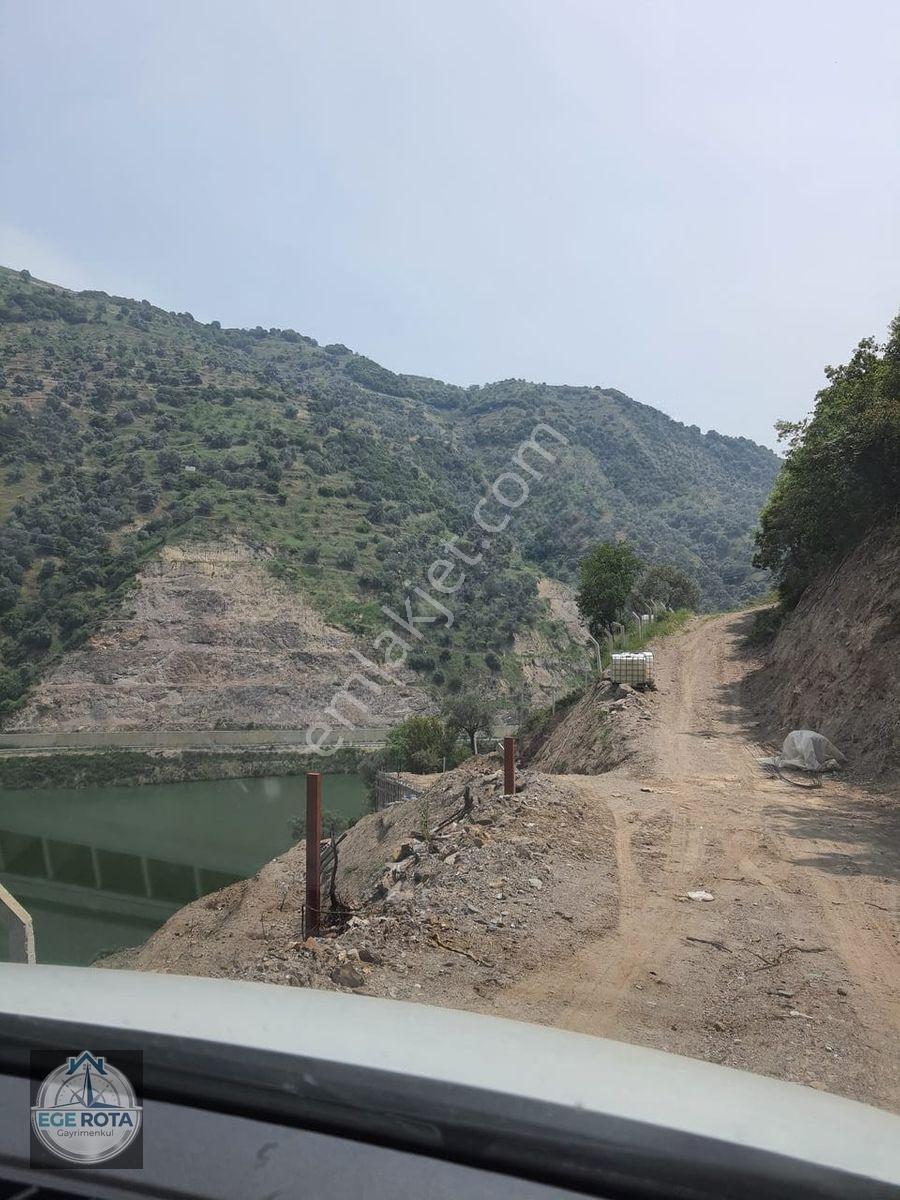 Sultanhisar - Demirhan Mahallesi Satılık 4 Dönüm Zeytinlik — fotoğraf 7