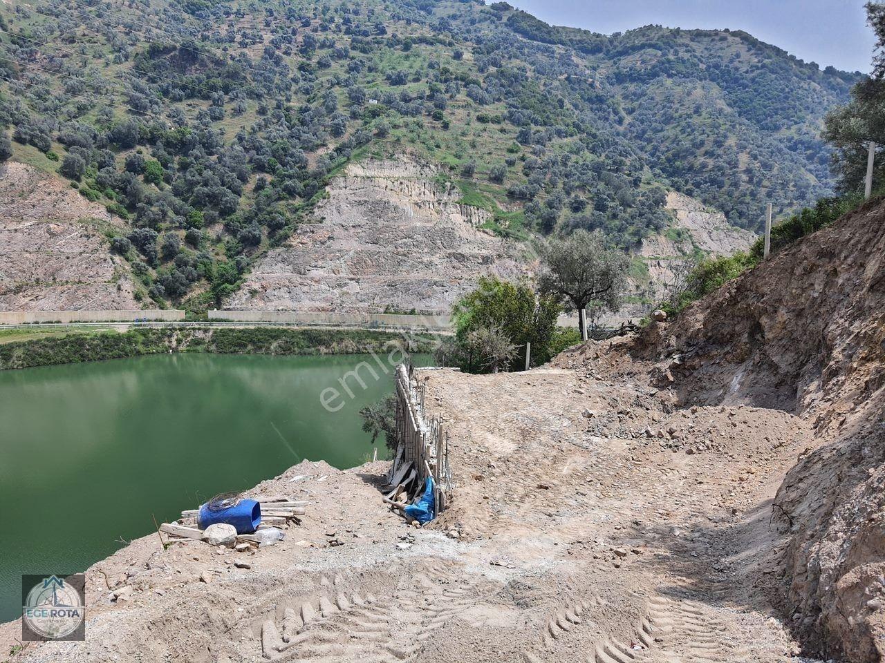 Sultanhisar - Demirhan Mahallesi Satılık 4 Dönüm Zeytinlik — fotoğraf 8