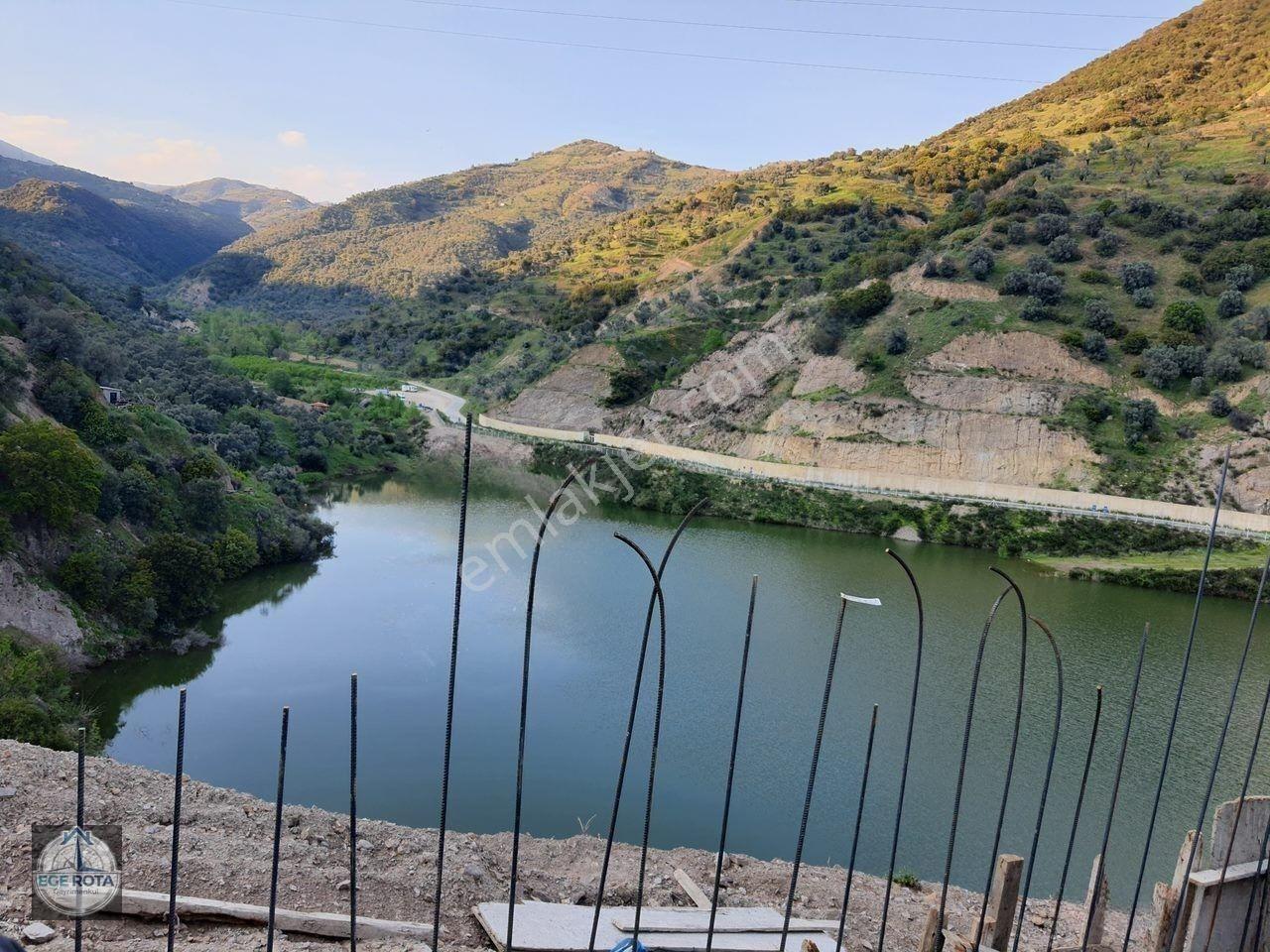 Sultanhisar - Demirhan Mahallesi Satılık 4 Dönüm Zeytinlik — fotoğraf 10