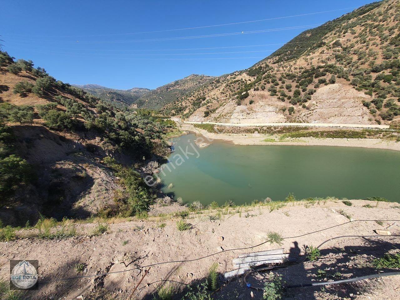 Sultanhisar - Demirhan Mahallesi Satılık 4 Dönüm Zeytinlik — fotoğraf 11