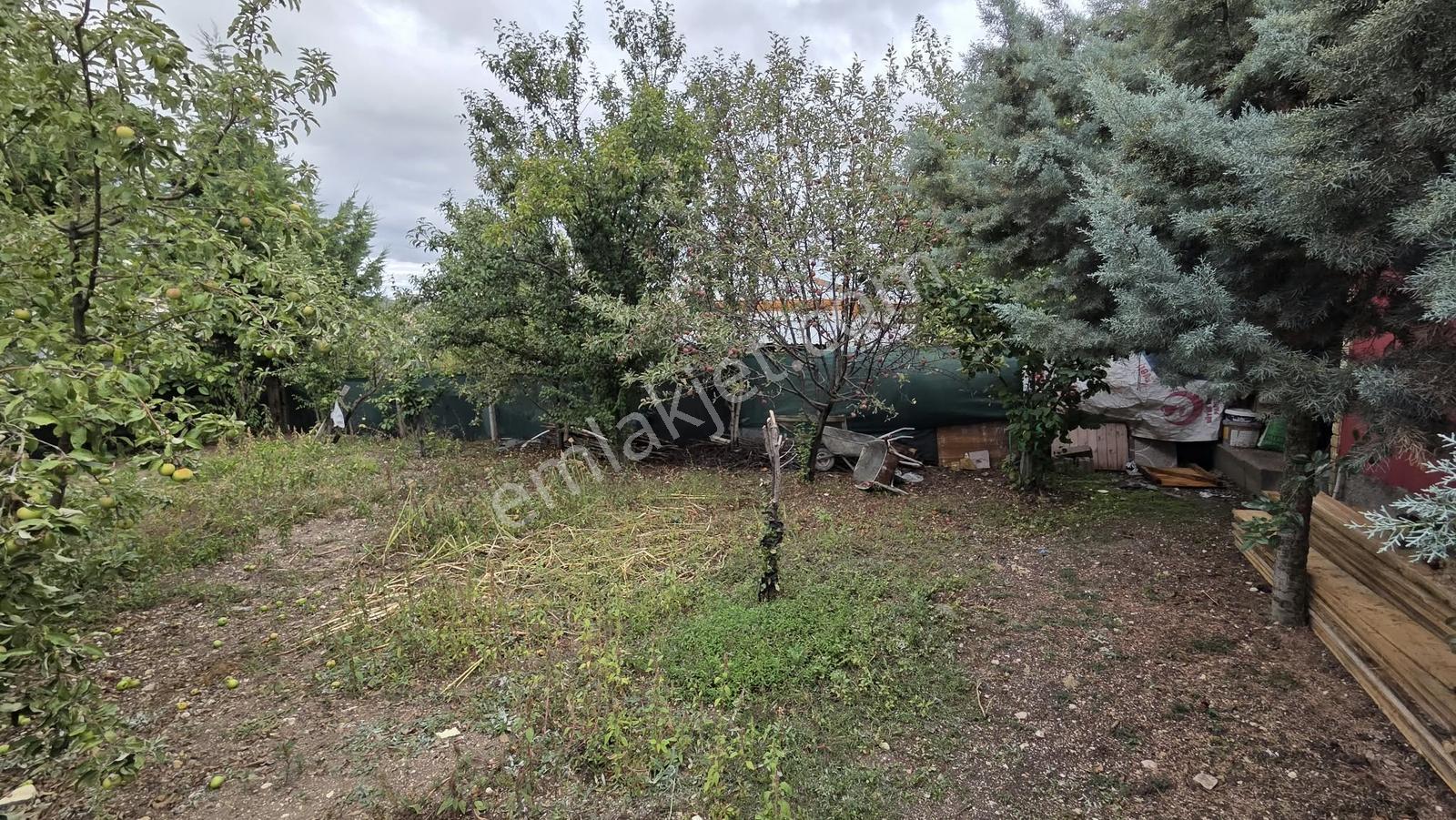 Ayaş Başayaş Köyünde Havuzlu Hobi Bahçesi Kaçırılmaycak Fırsat!! — fotoğraf 23