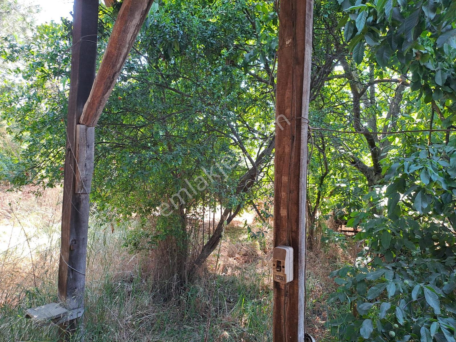 Dereçavuş Mah. Cadde Üzeri Villa İmarlı Arsa — fotoğraf 8