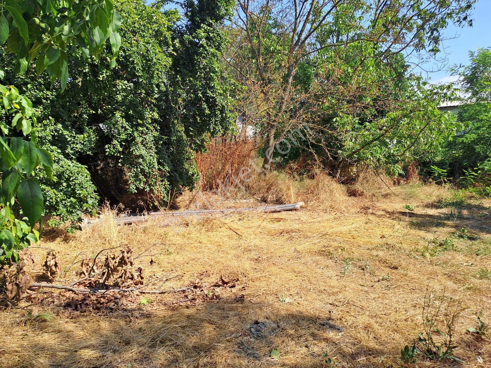 Dereçavuş Mah. Cadde Üzeri Villa İmarlı Arsa — fotoğraf 10