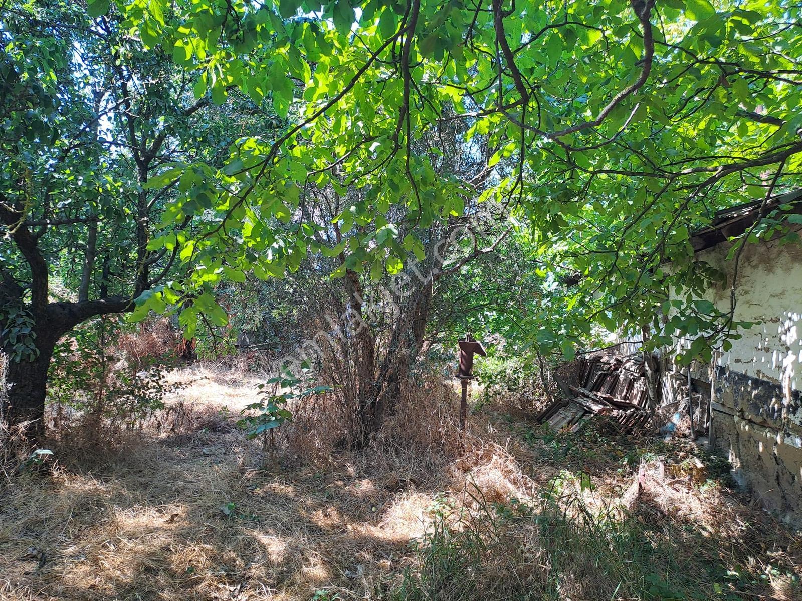 Dereçavuş Mah. Cadde Üzeri Villa İmarlı Arsa — fotoğraf 12