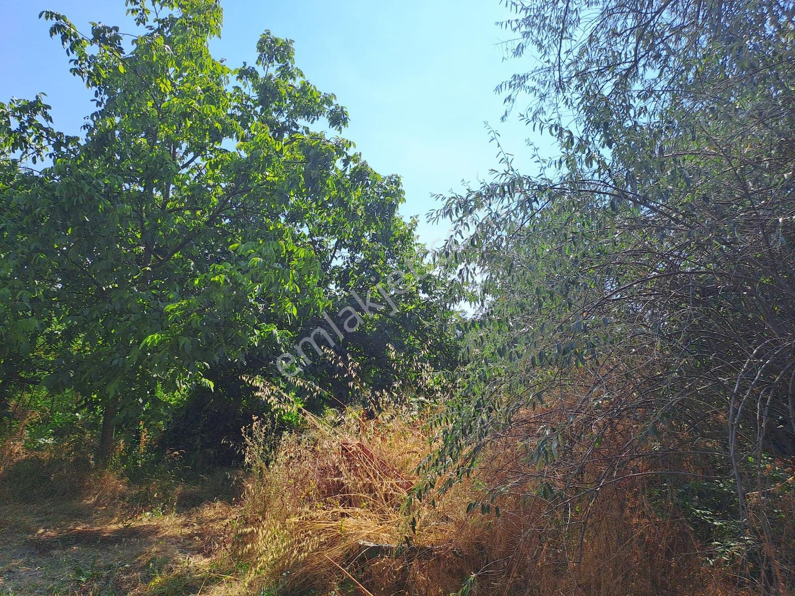 Dereçavuş Mah. Cadde Üzeri Villa İmarlı Arsa — fotoğraf 13