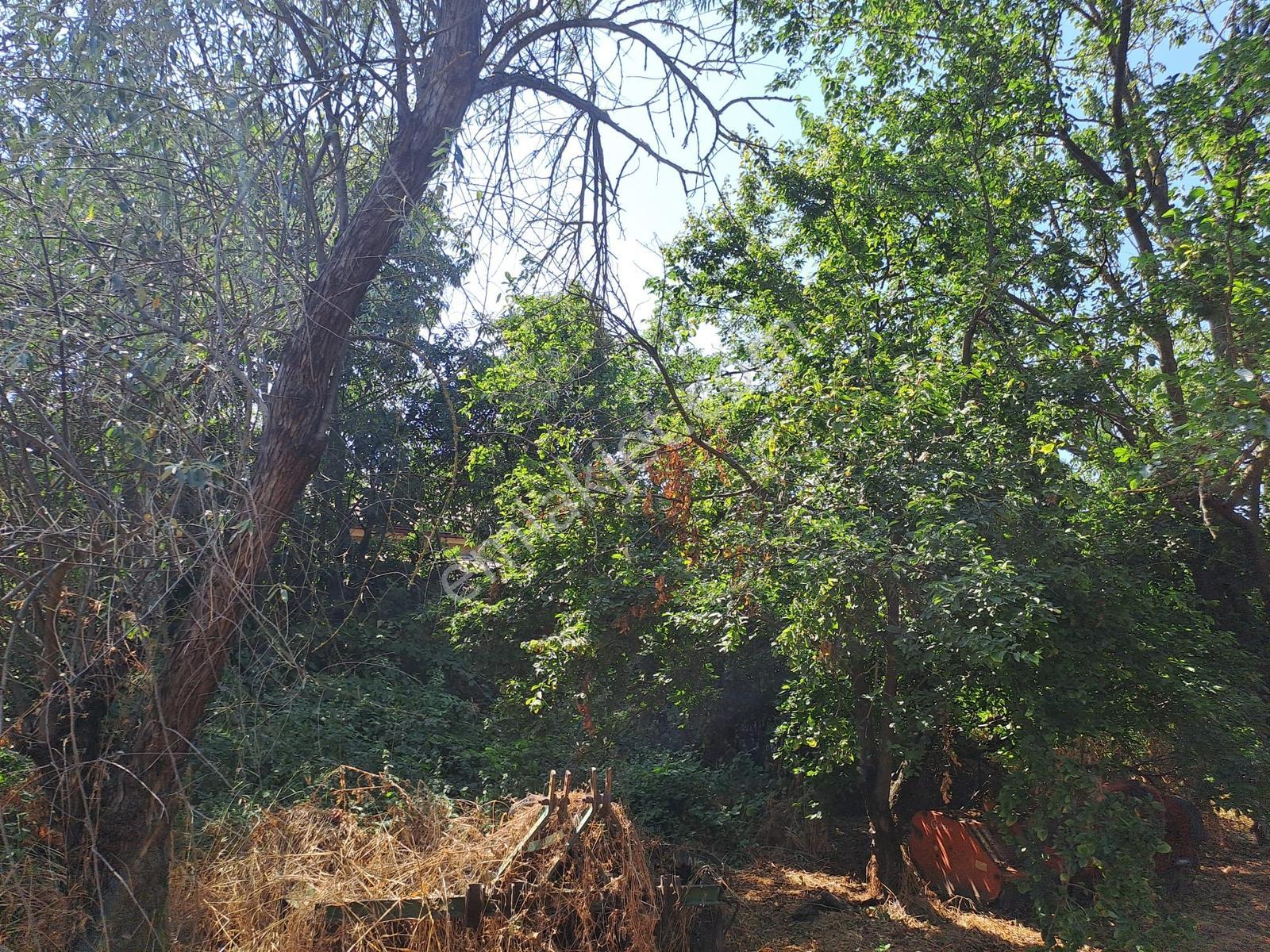 Dereçavuş Mah. Cadde Üzeri Villa İmarlı Arsa — fotoğraf 14