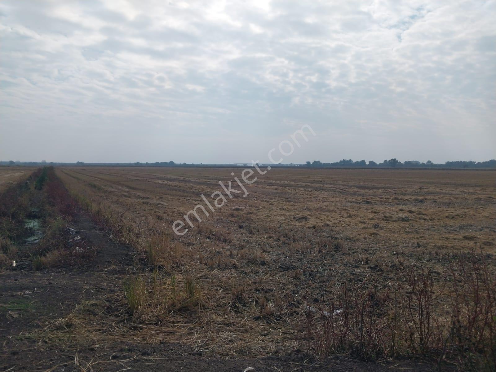 Karacabey'de 10.187m² Asfalt Cepheli Satılık Yatırım Arsası — fotoğraf 2