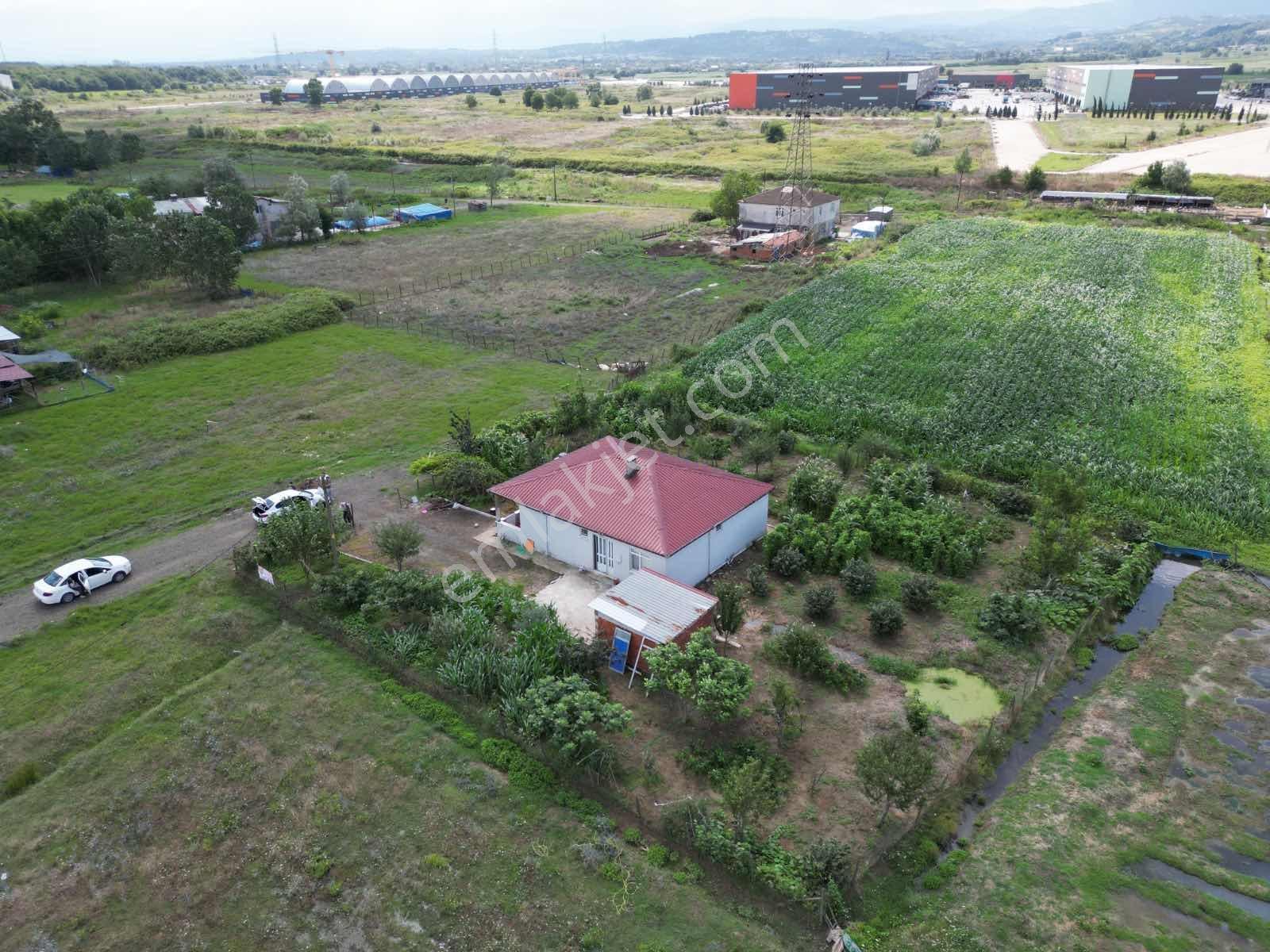 Tekkeköy Lojistik Merkezi Satılık Ticari İmarlı Arsa Ve Ev — fotoğraf 4