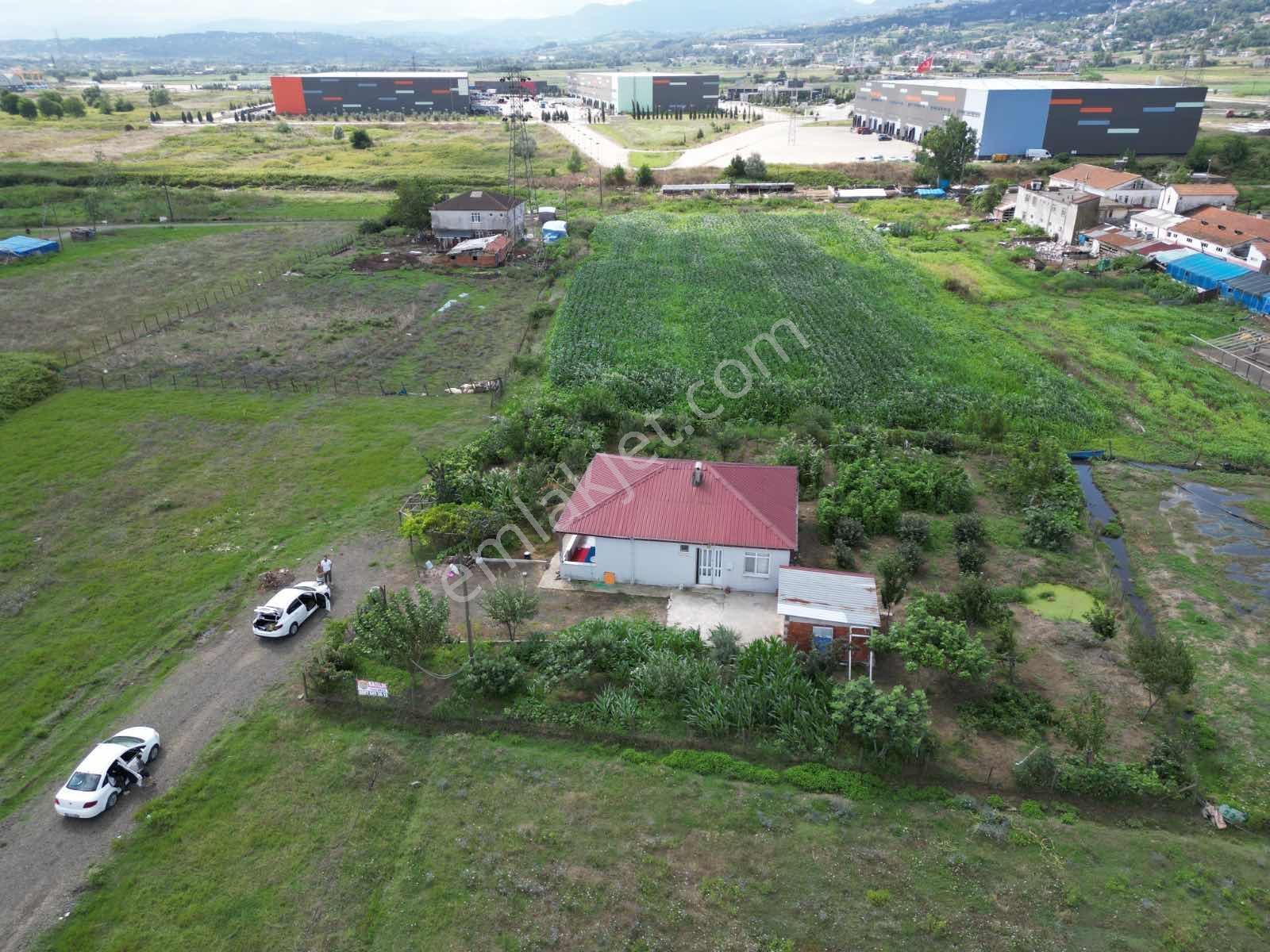 Tekkeköy Lojistik Merkezi Satılık Ticari İmarlı Arsa Ve Ev — fotoğraf 5
