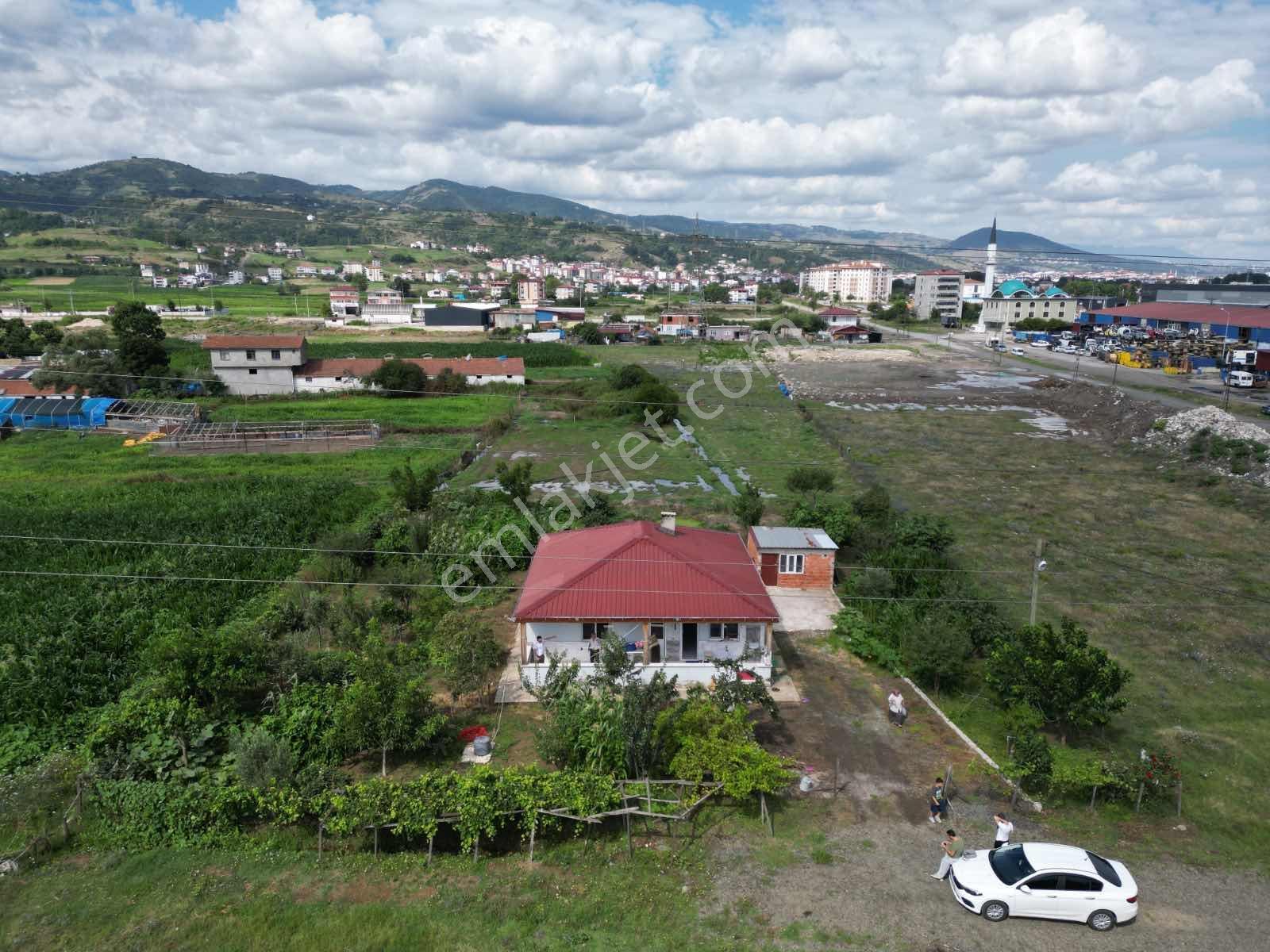 Tekkeköy Lojistik Merkezi Satılık Ticari İmarlı Arsa Ve Ev — fotoğraf 6