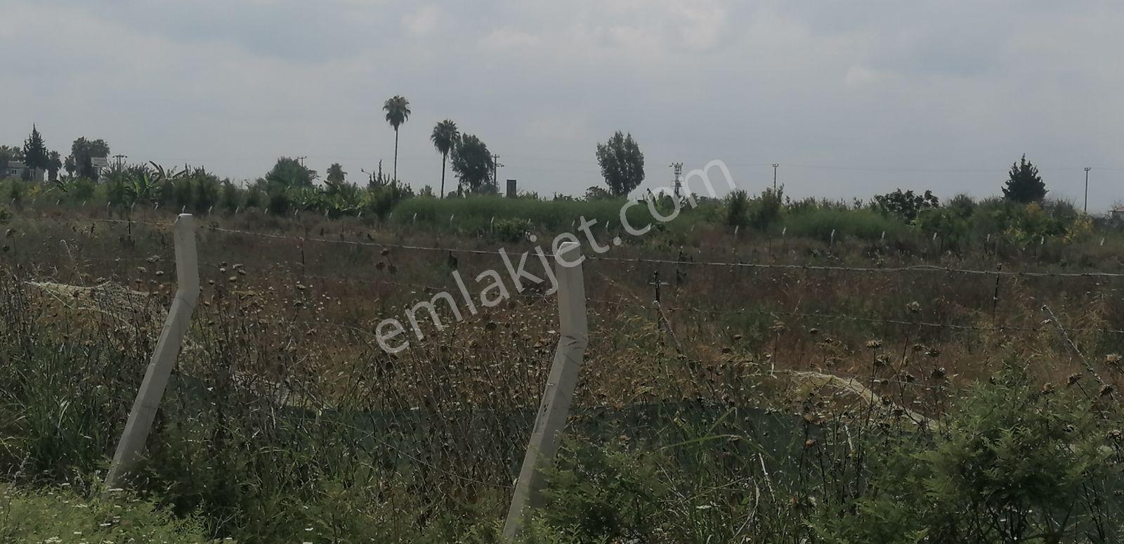 Fa Emlaktan Mahmutağa'da Yatırımlık Satılık 24 Dönüm Tarla — fotoğraf 2
